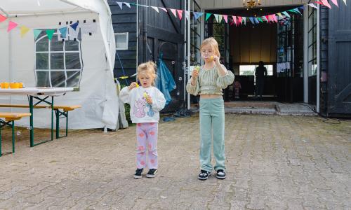 ARIA-BBQ-FEEST-LOW-4.jpg
